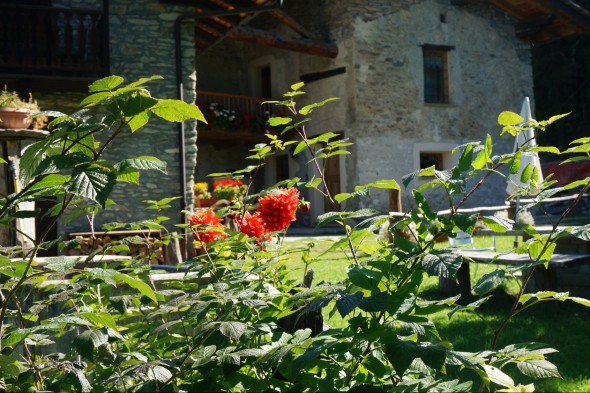 The flowered garden of Maison peroulaz